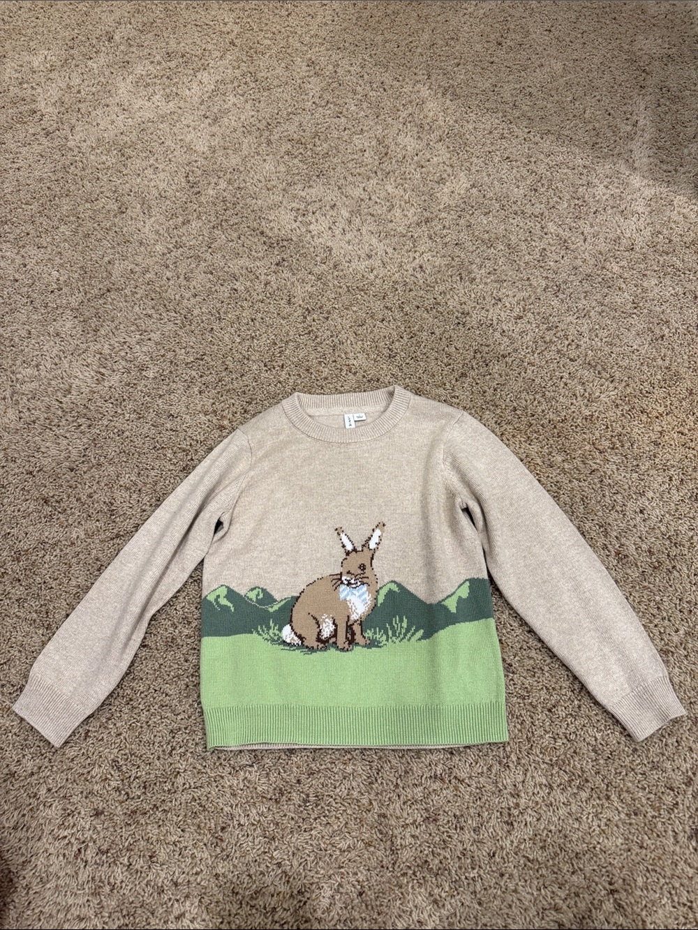 Janie and Jack Beige Sweater with Bunny and Green Border